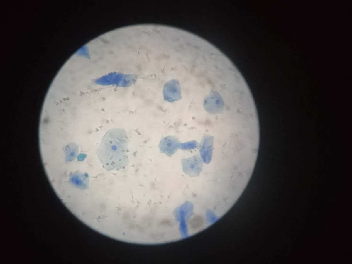 维生素建议吃吗_维生素有没有必要买贵的_