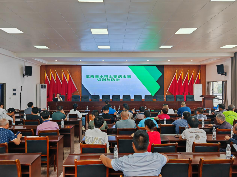 共同富裕经济学__共同富裕经济高质量发展