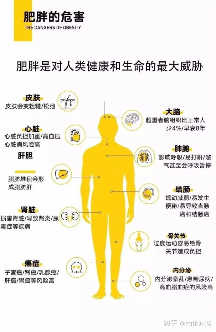 没有健康的胖子_胖子健康问题_