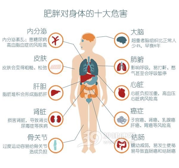 胖子健康问题__没有健康的胖子