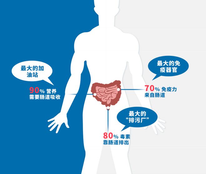 疯狂猜图猜人物的第十关答案__看图猜人答案明星