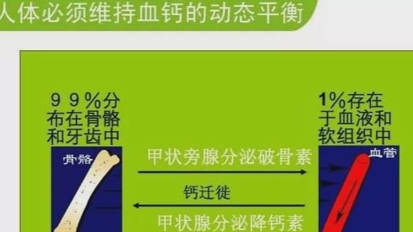 预防骨质疏松的重要意义__预防骨质疏松药物有哪些