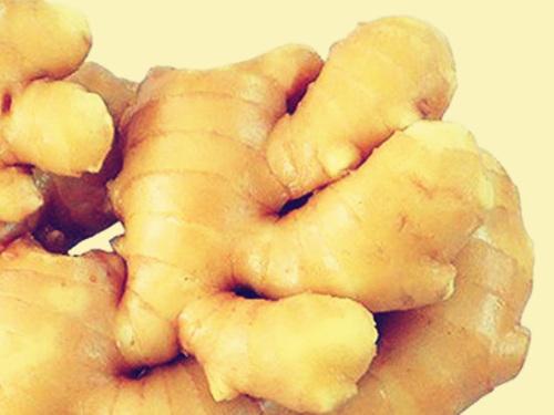 _立春不应该做什么_立春做什么不好