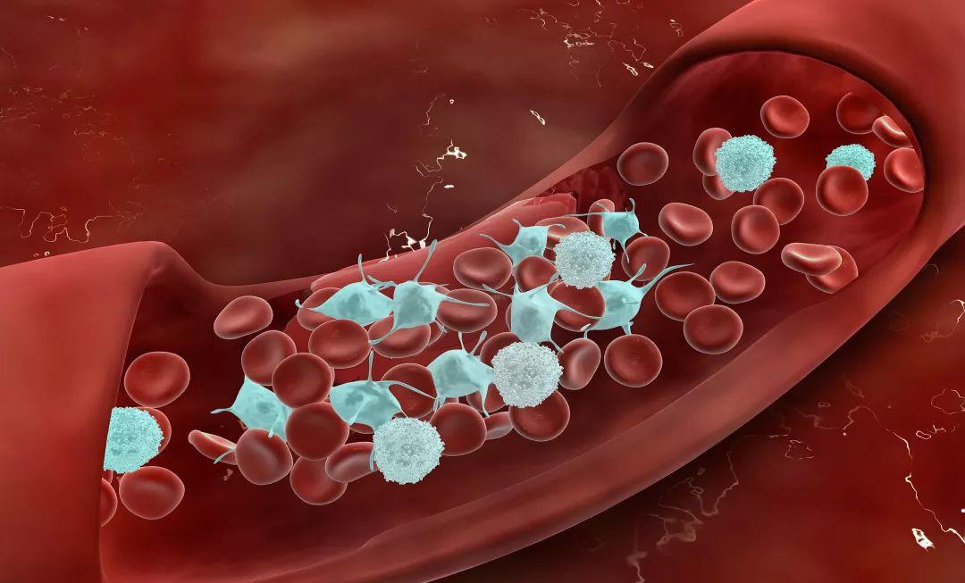 香港科技大学研发出早期检测阿尔茨海默病新技术_香港科技大学研发出早期检测阿尔茨海默病新技术_