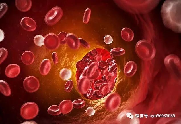 香港科技大学研发出早期检测阿尔茨海默病新技术_香港科技大学研发出早期检测阿尔茨海默病新技术_