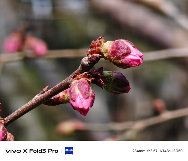 vivo X Fold3 Pro全面评测 超六边形战士