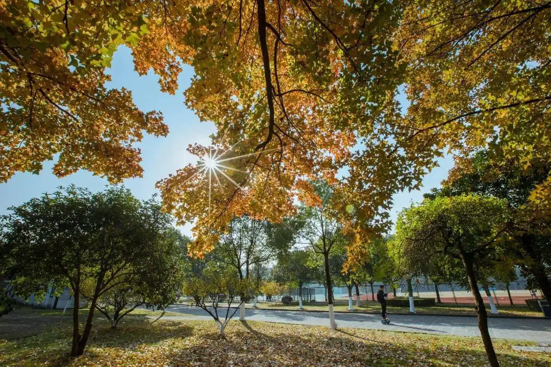 _“职教出海”，各显神通_“职教出海”，各显神通