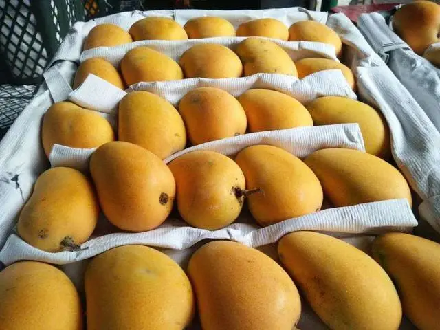 _多吃水果湿气重_常吃水果湿气重