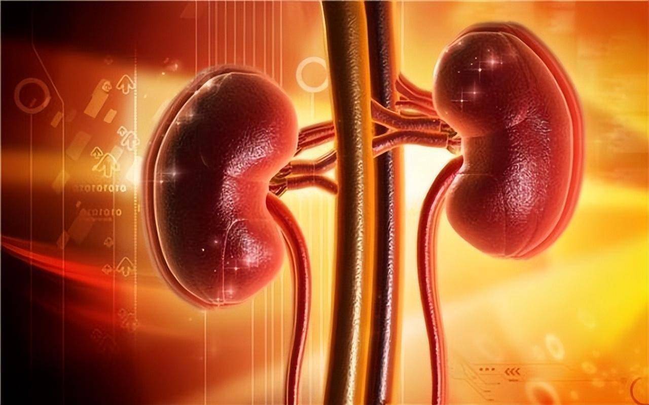 肾好的人喝水后排尿会慢一点吗_喝水就尿是肾炎吗_