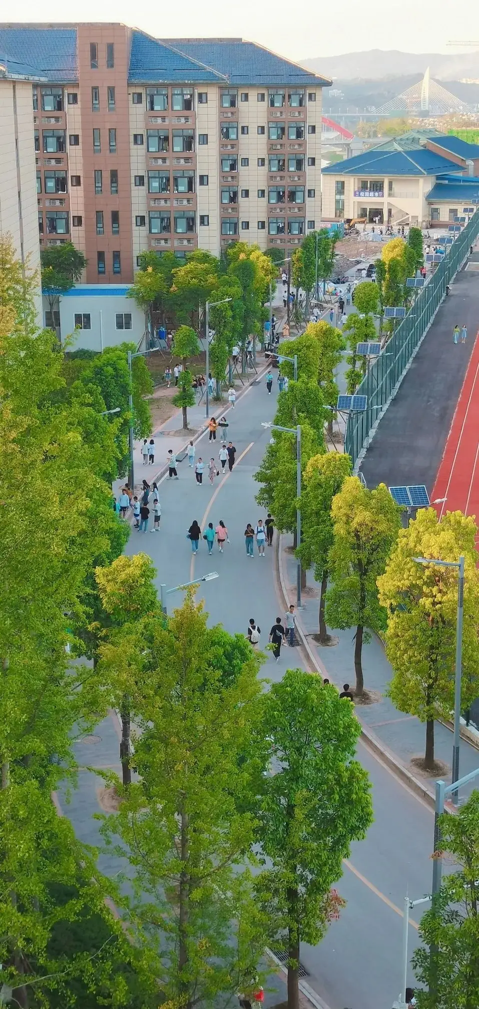 四川高考专科志愿怎么填__四川高考志愿专科填报时间