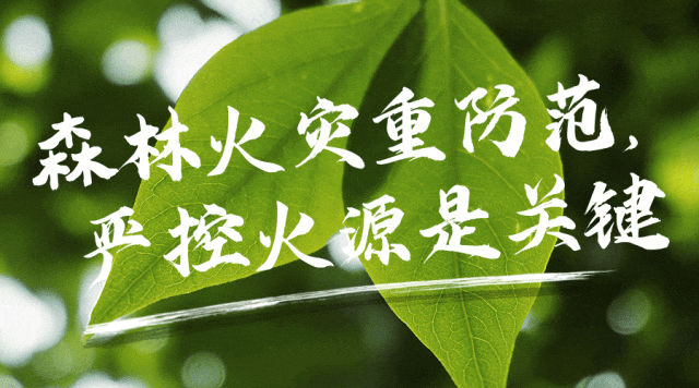 _郑州市职业教育活动周_河南省职业教育大会