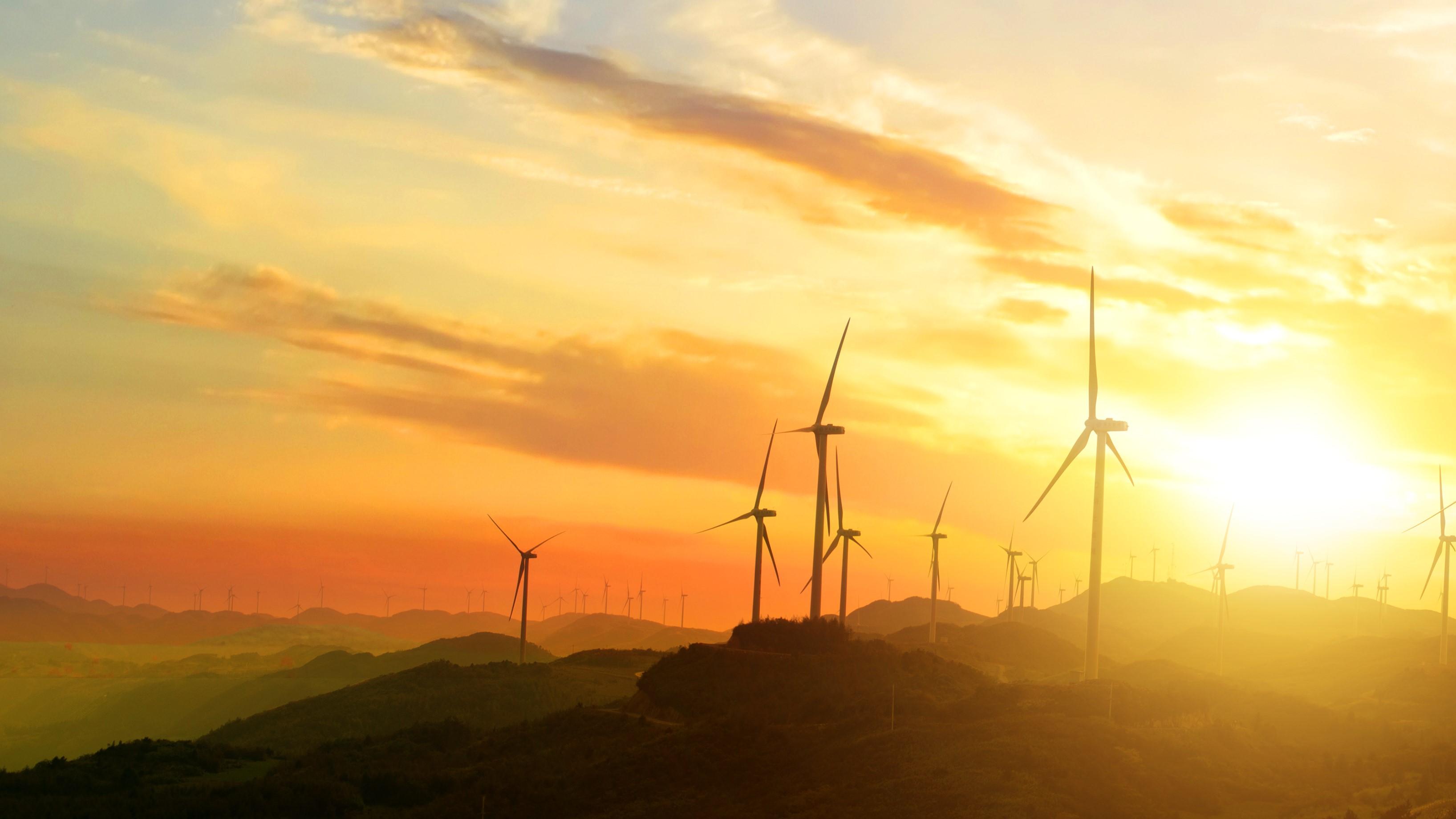 _中兴通讯战略合作_中兴通讯白皮书