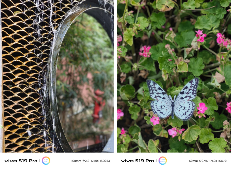 led灯给植物补光__家用植物补光用什么灯