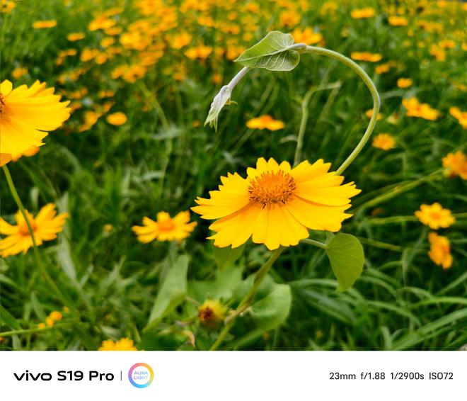 _led灯给植物补光_家用植物补光用什么灯