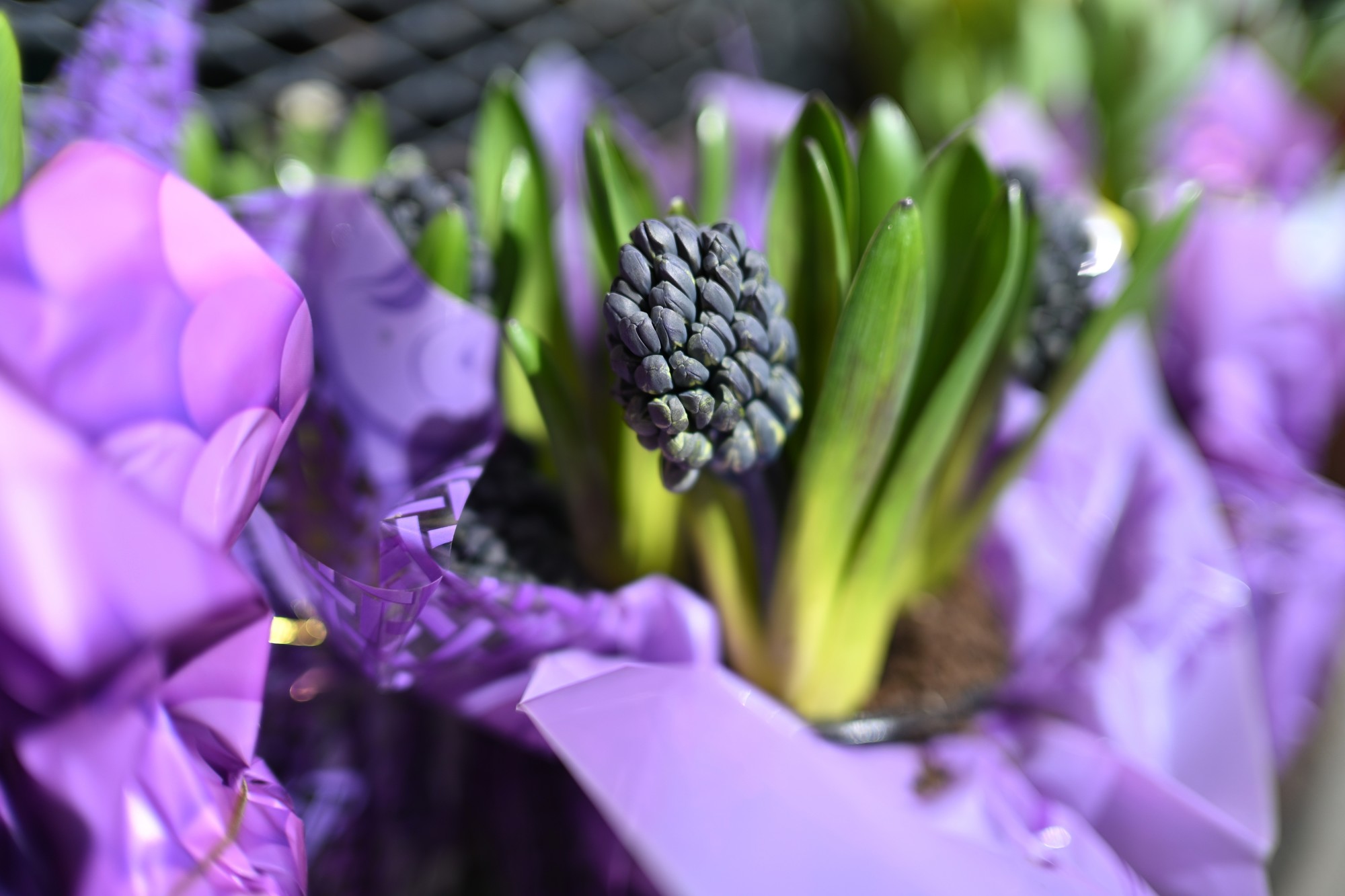 高性价比大光圈 尼康Z35mm F1.4镜头解析