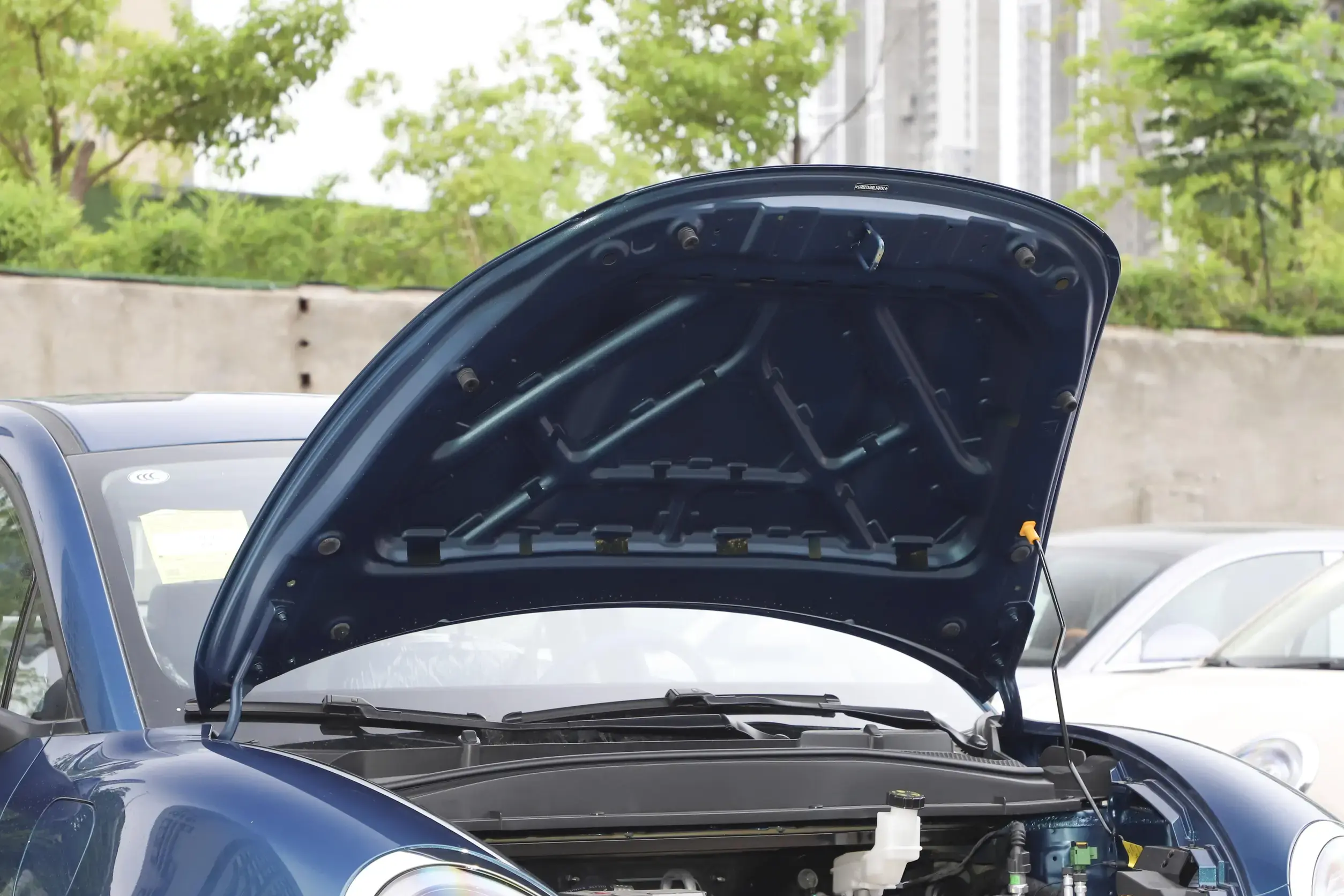 _欧拉纯电动汽车续航多少_欧拉慢充多少钱