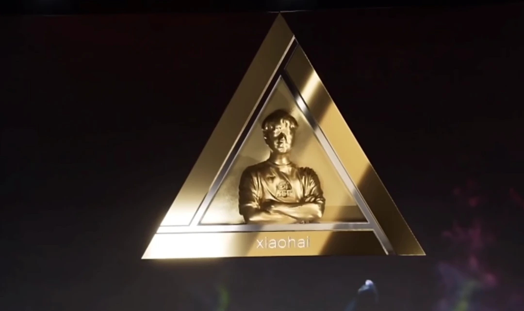 小孩拿过街霸5冠军吗_街霸小孩世界比赛视频_