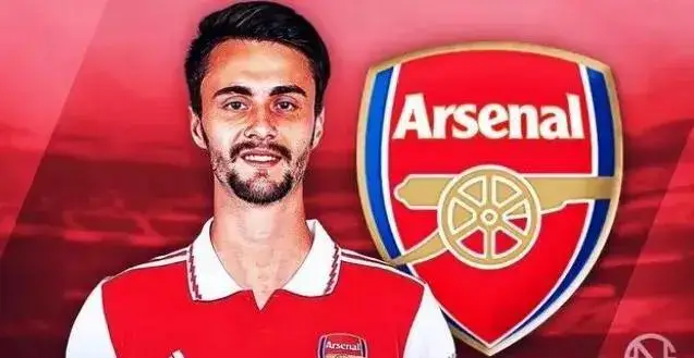 _阿森纳德比对手_阿森纳德国中场