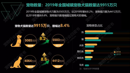 宠物检测市场__宠物监测系统