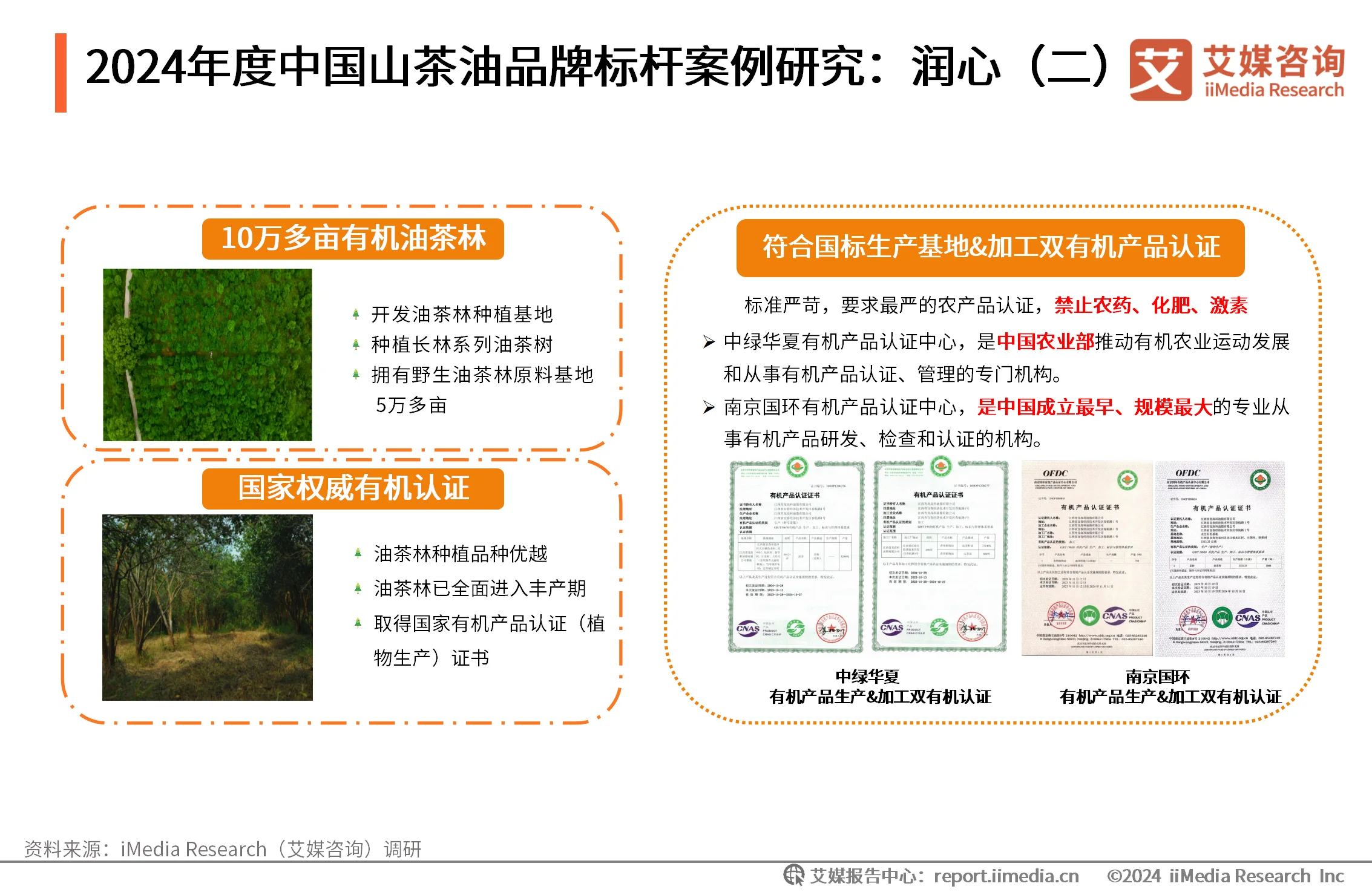 山茶油消费群体_洞察趋势咨询消费油山茶报告_