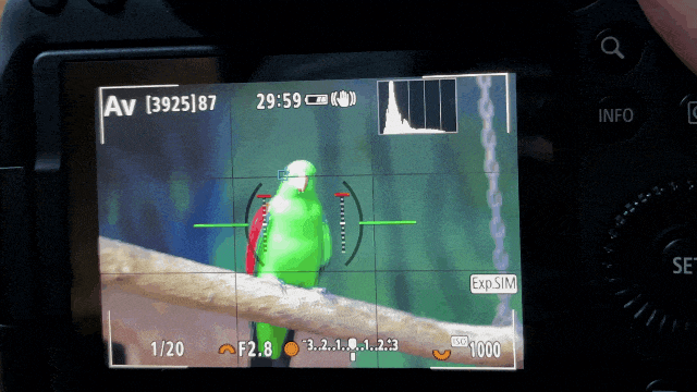 发烧友的第一台全画幅 佳能EOS R6 Mark II是否适合？