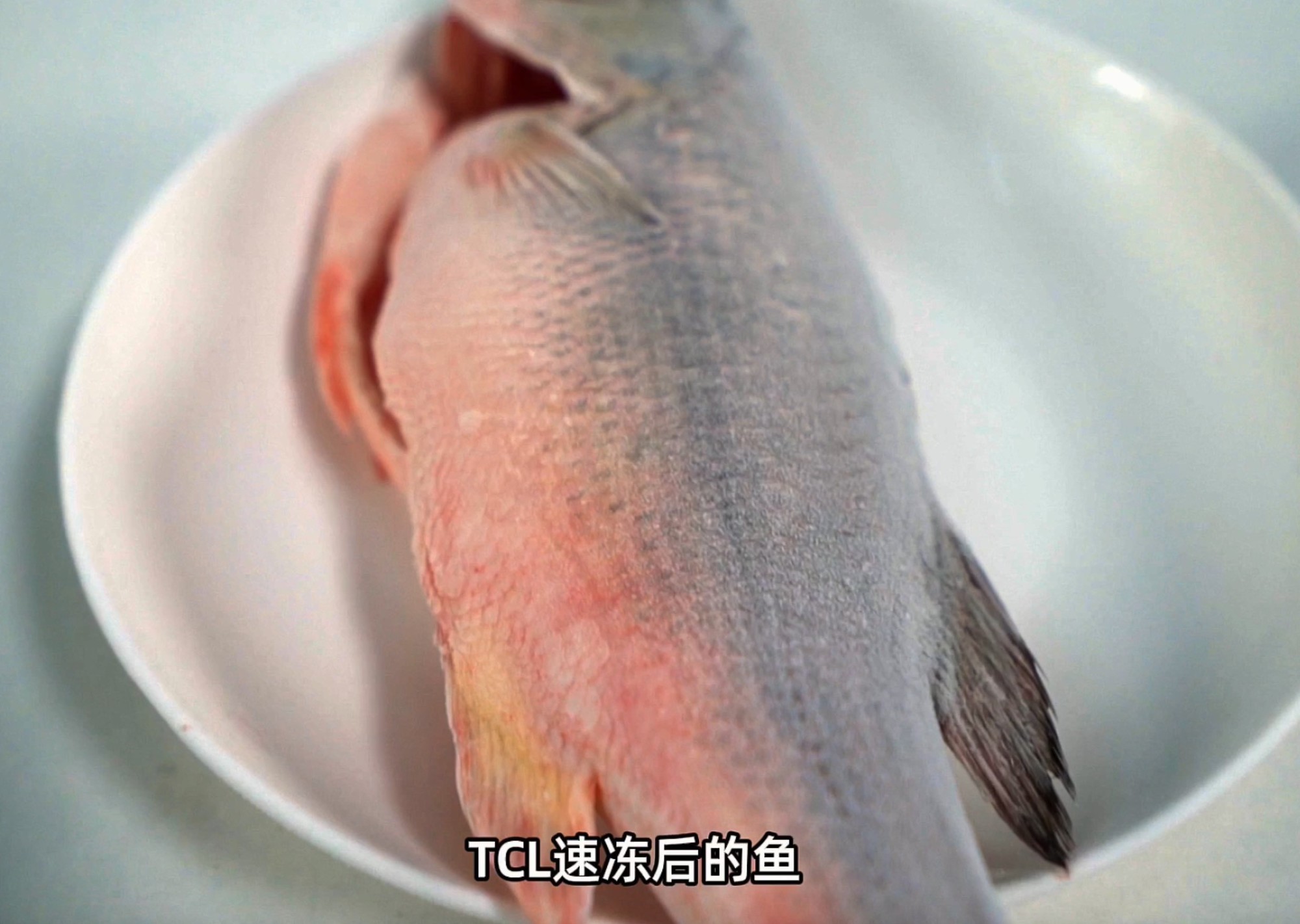 TCL T9 Pro冰箱评测：双系统革新，真平嵌新潮流，质价比震撼
