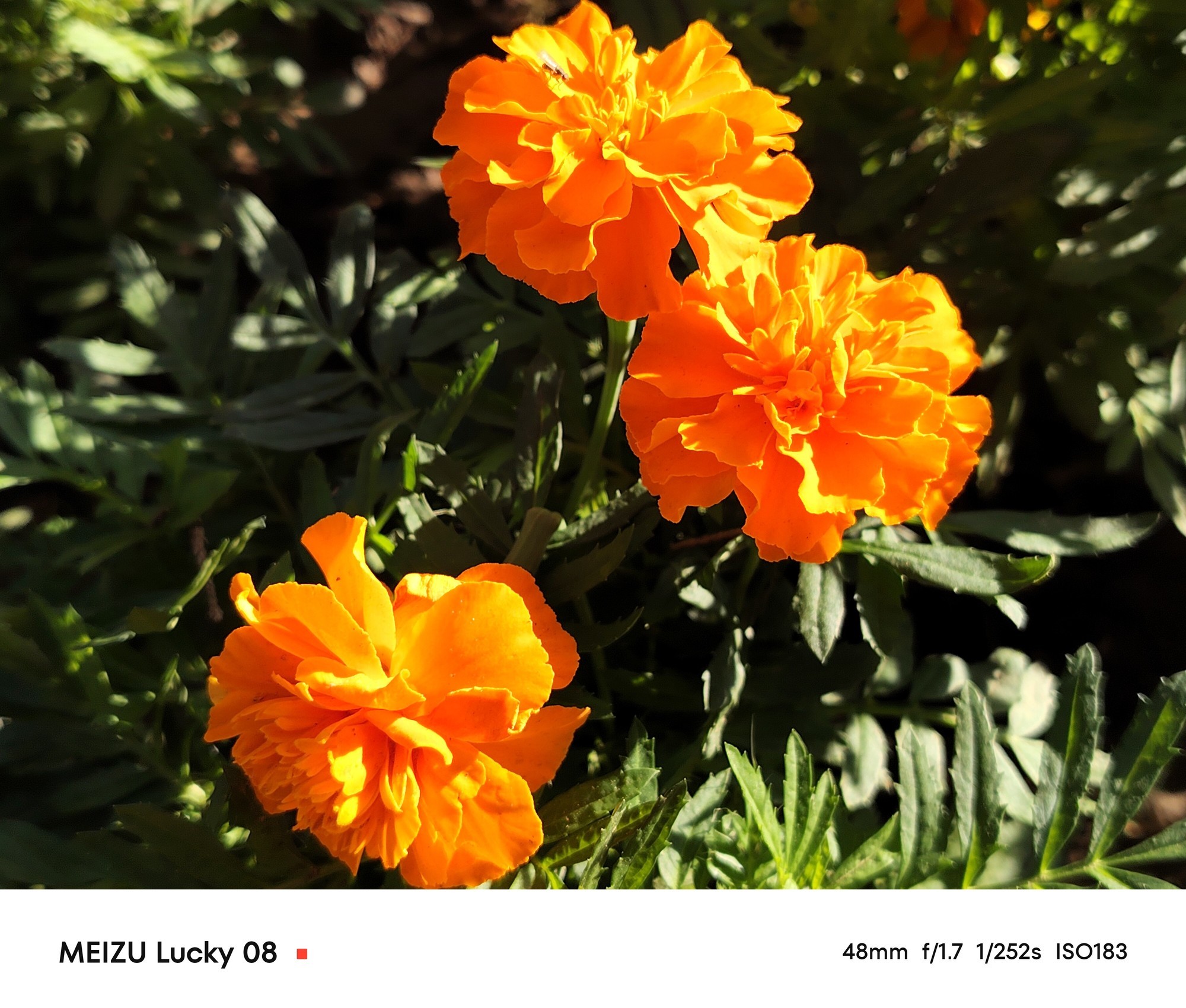 魅族 Lucky 08评测 好设计，更AI用
