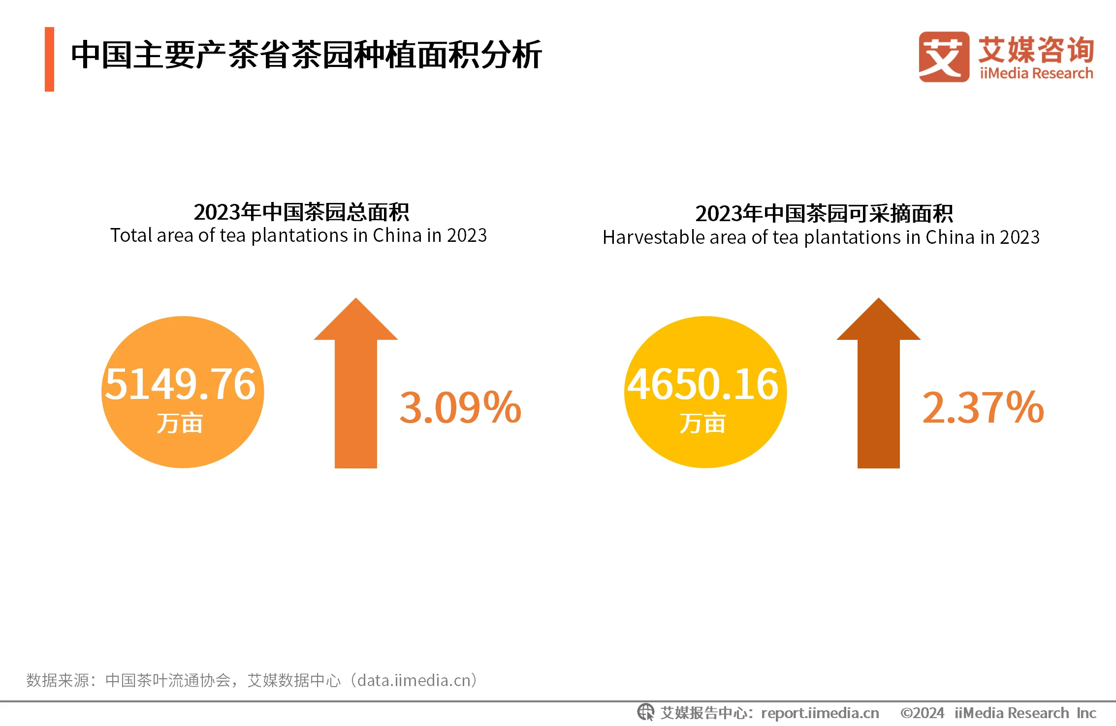 茶叶消费者需求分析__茶叶消费者调研