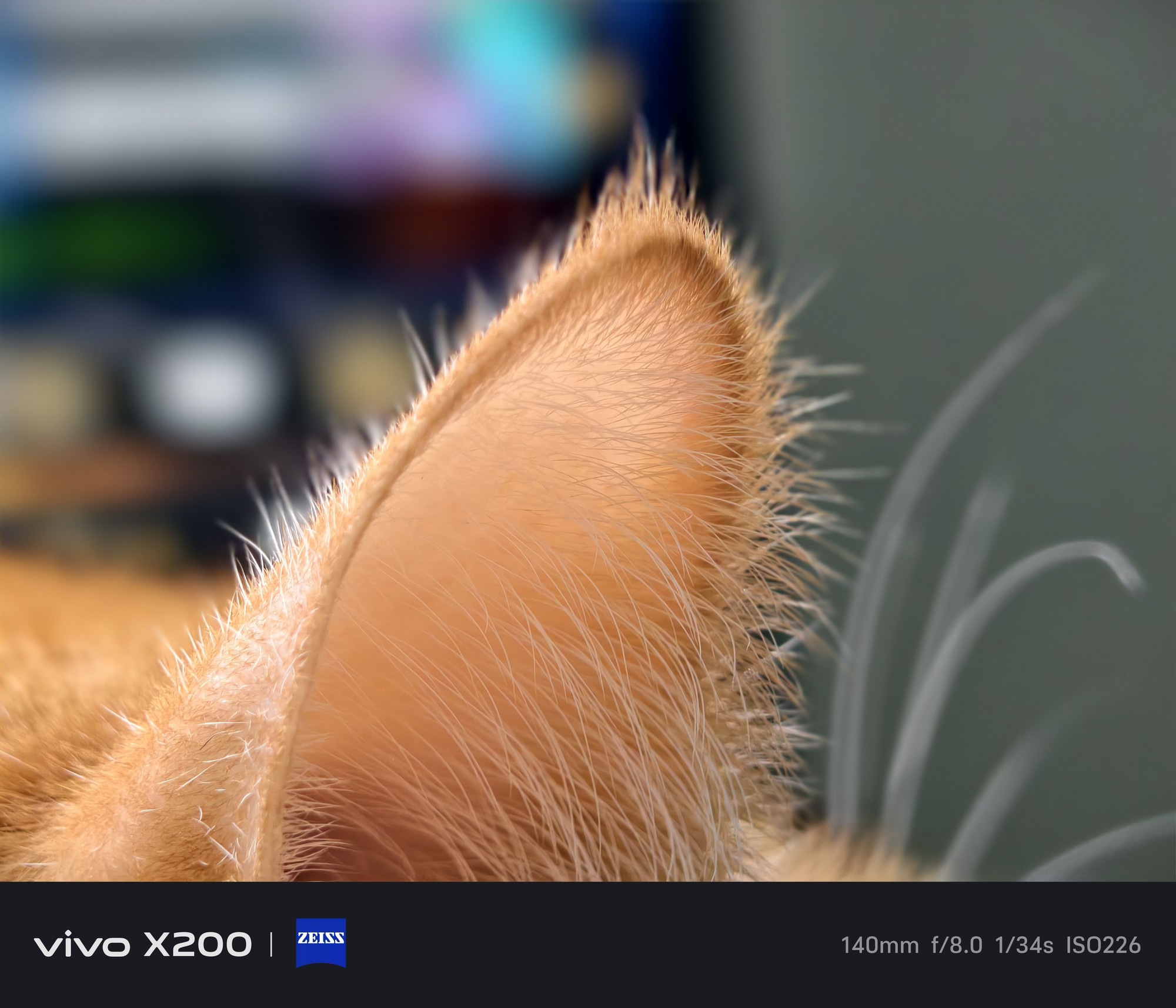 vivo X200全面评测：你跟我说这叫标准版？