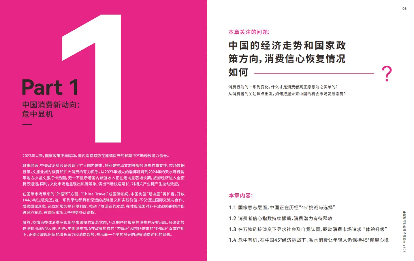 中国豪华车品牌特性研究白皮书__传奇市场分析
