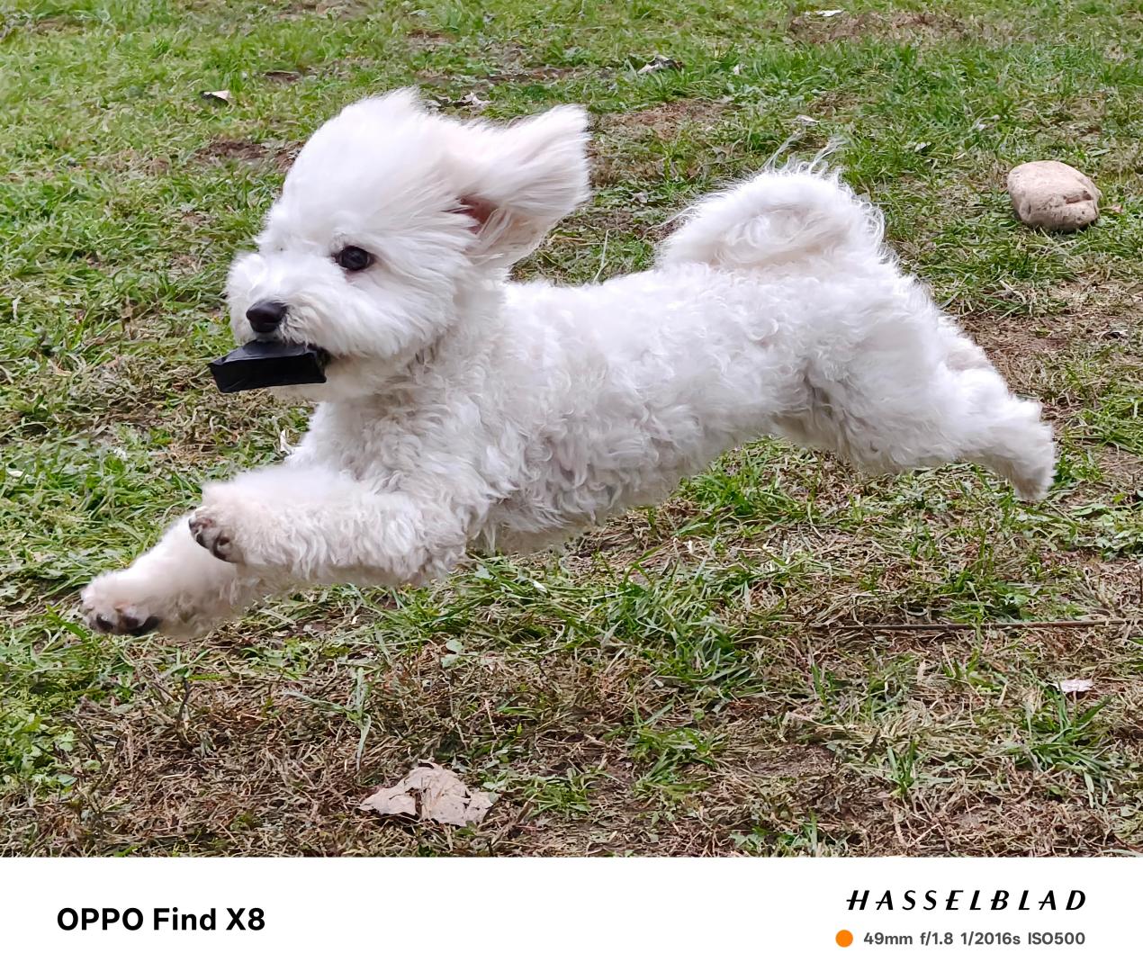 OPPO Find X8值不值？看完这三点再说
