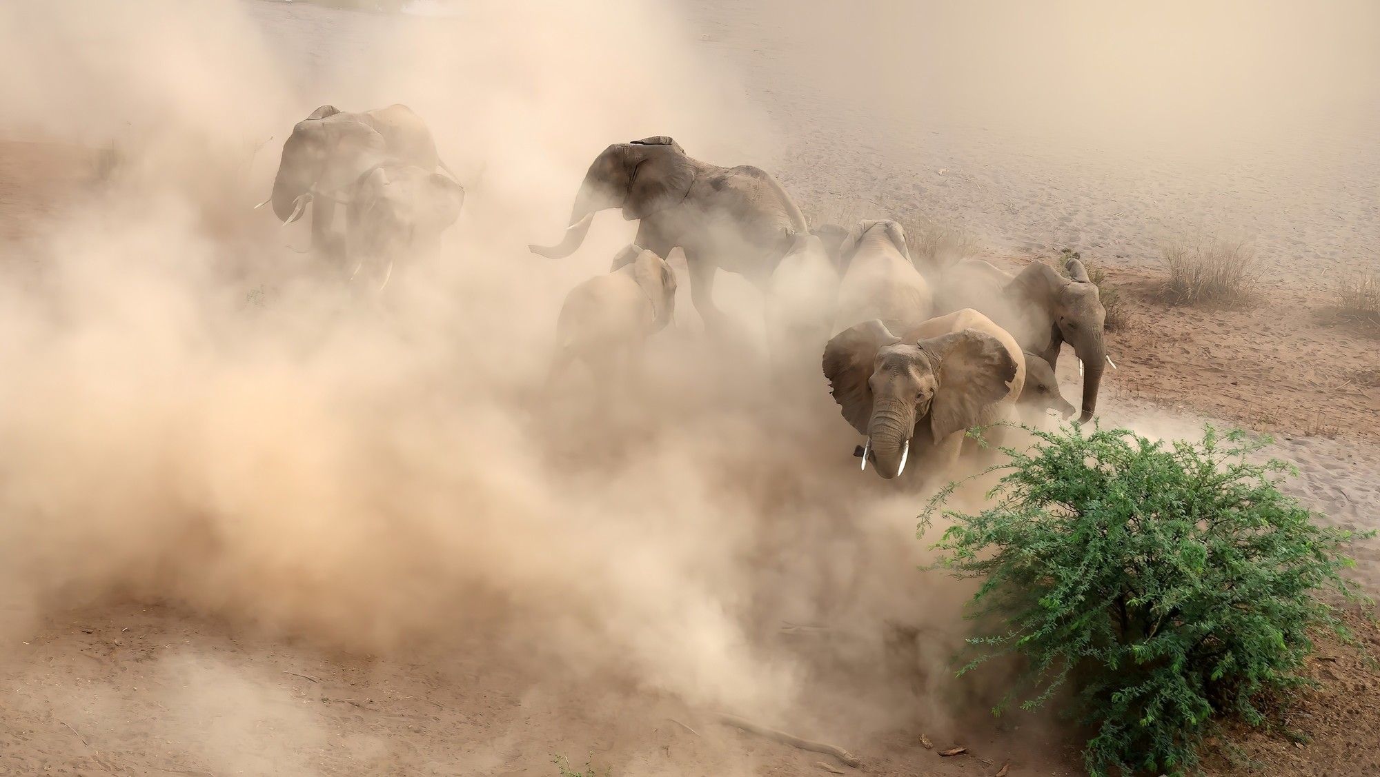 洞悉万物之美 佳能 EOS R3 相机生态拍摄体验