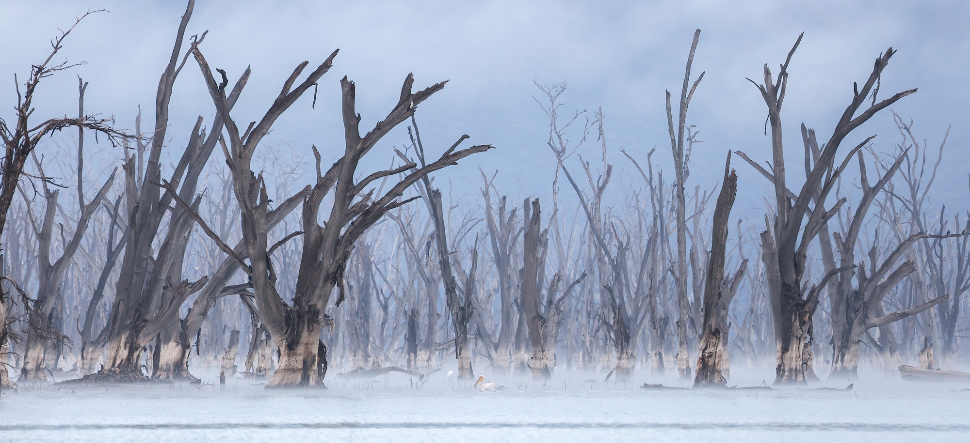 洞悉万物之美 佳能 EOS R3 相机生态拍摄体验