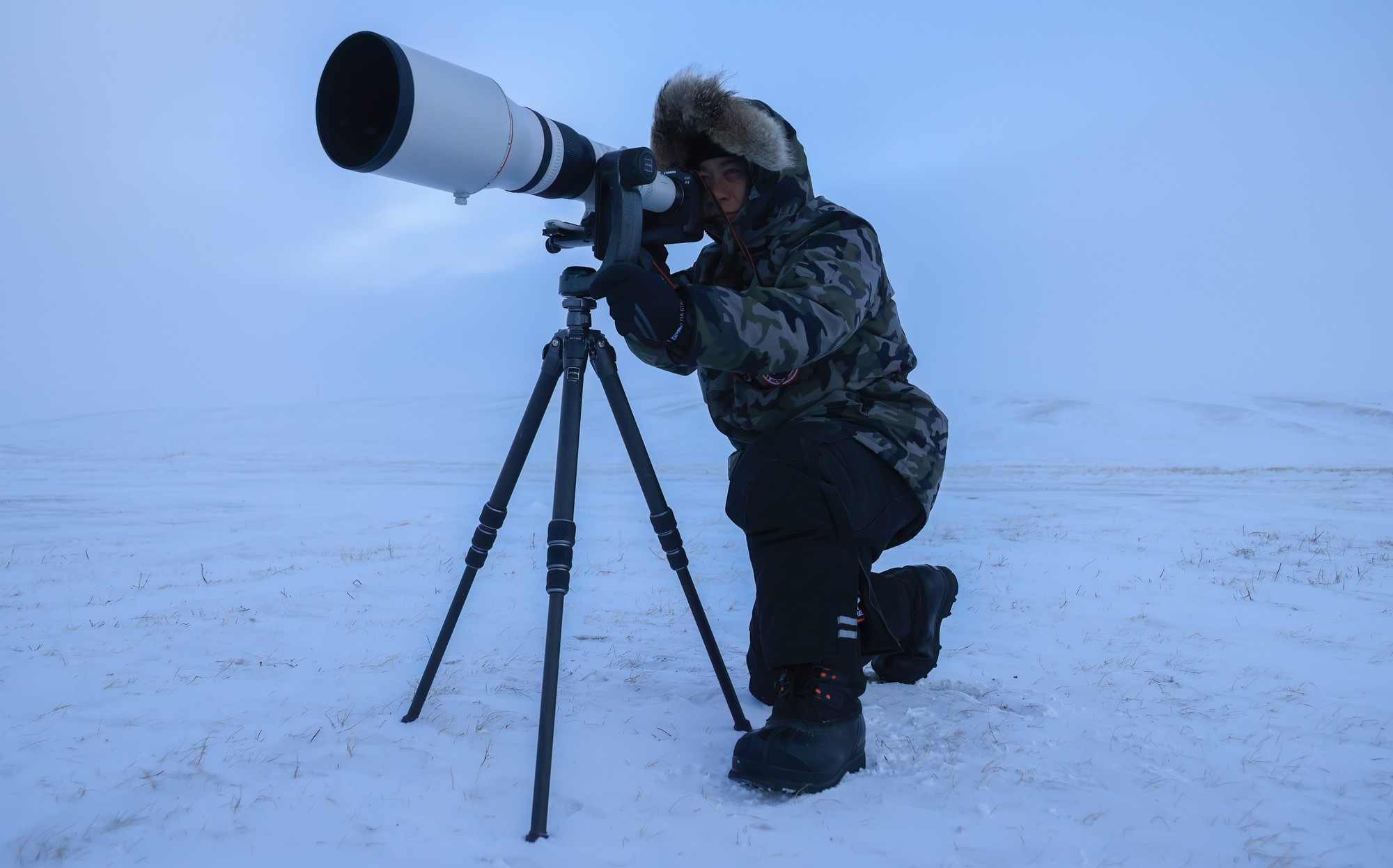 洞悉万物之美 佳能 EOS R3 相机生态拍摄体验