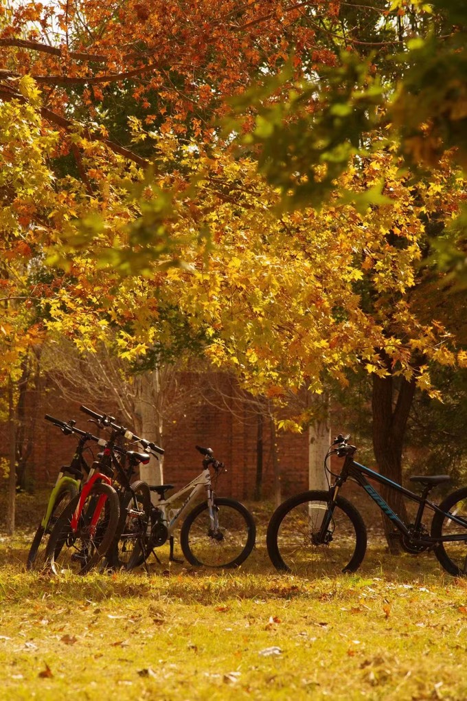 洞悉万物之美 佳能 EOS R3 相机生态拍摄体验__洞悉万物之美 佳能 EOS R3 相机生态拍摄体验