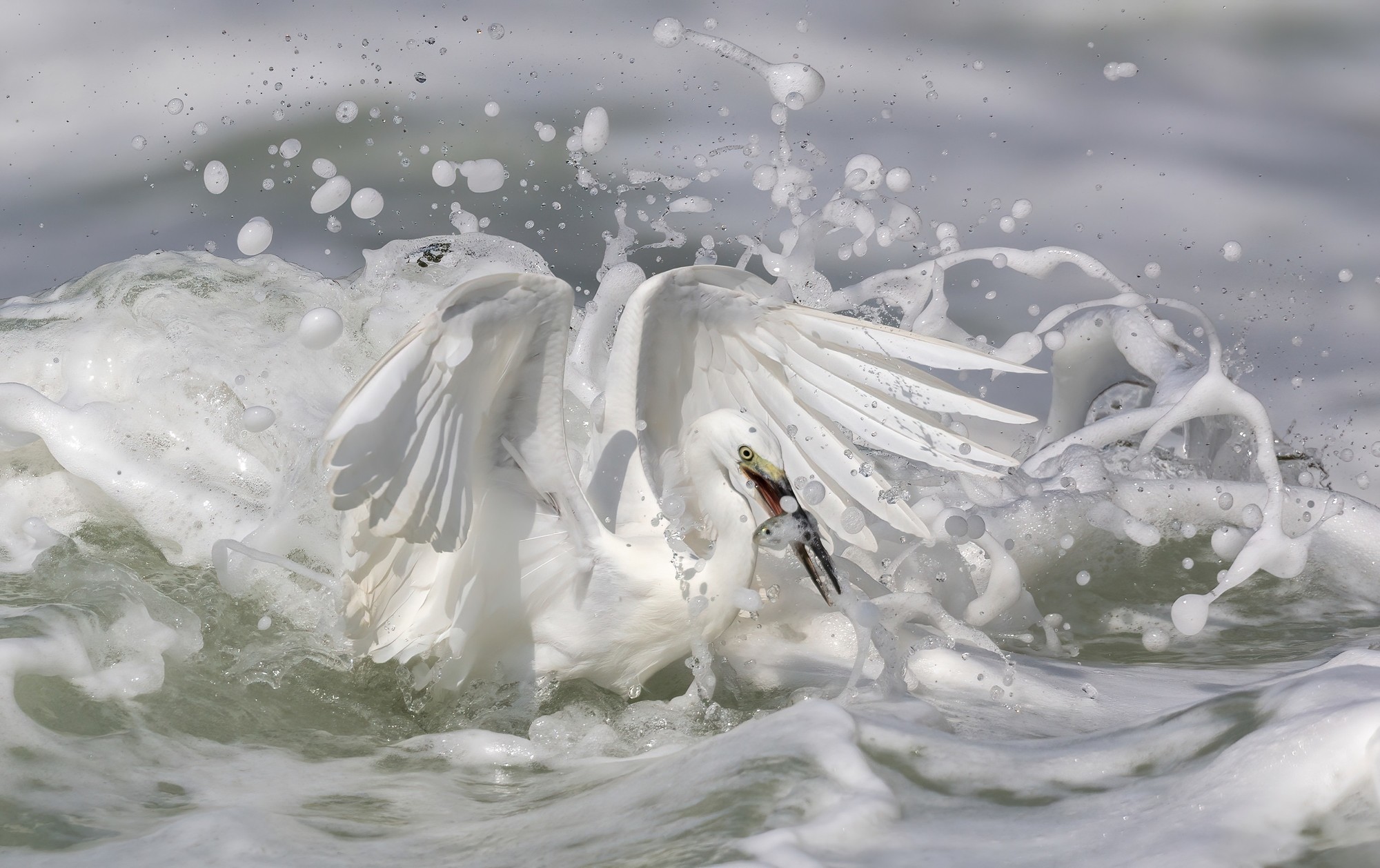 洞悉万物之美 佳能 EOS R3 相机生态拍摄体验