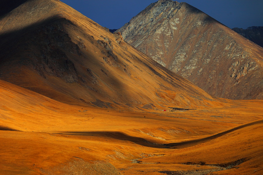 _洞悉万物之美 佳能 EOS R3 相机生态拍摄体验_洞悉万物之美 佳能 EOS R3 相机生态拍摄体验