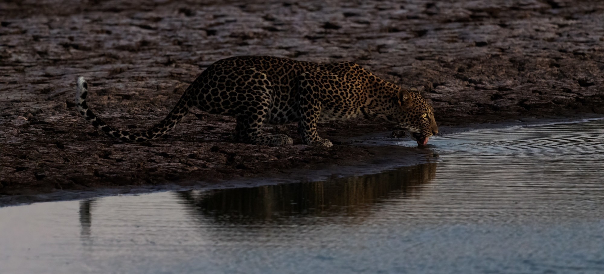 洞悉万物之美 佳能 EOS R3 相机生态拍摄体验