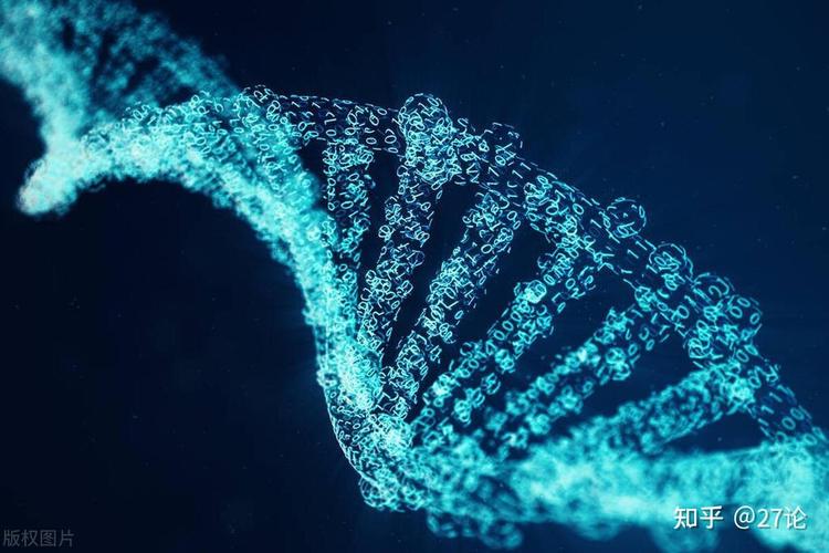 情趣用品市场现状分析_情趣用品价格_