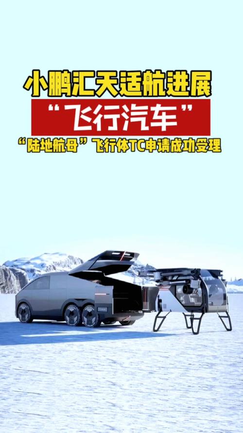 _陆地飞行俱乐部_飞行营地项目开工