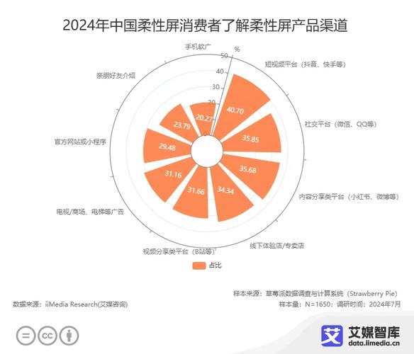 _三方名义调查_第三方支付调查
