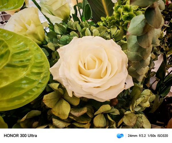 人像单反相机排行榜__哪个单反拍人像好