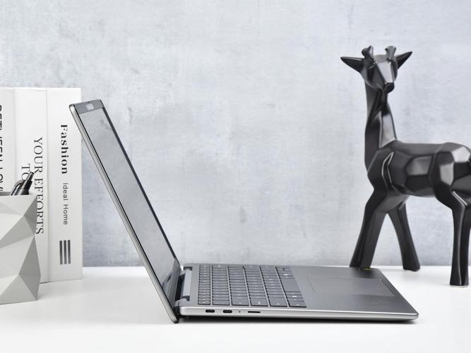 戴尔带触摸屏显示器型号_戴尔触摸屏笔记本什么型号_