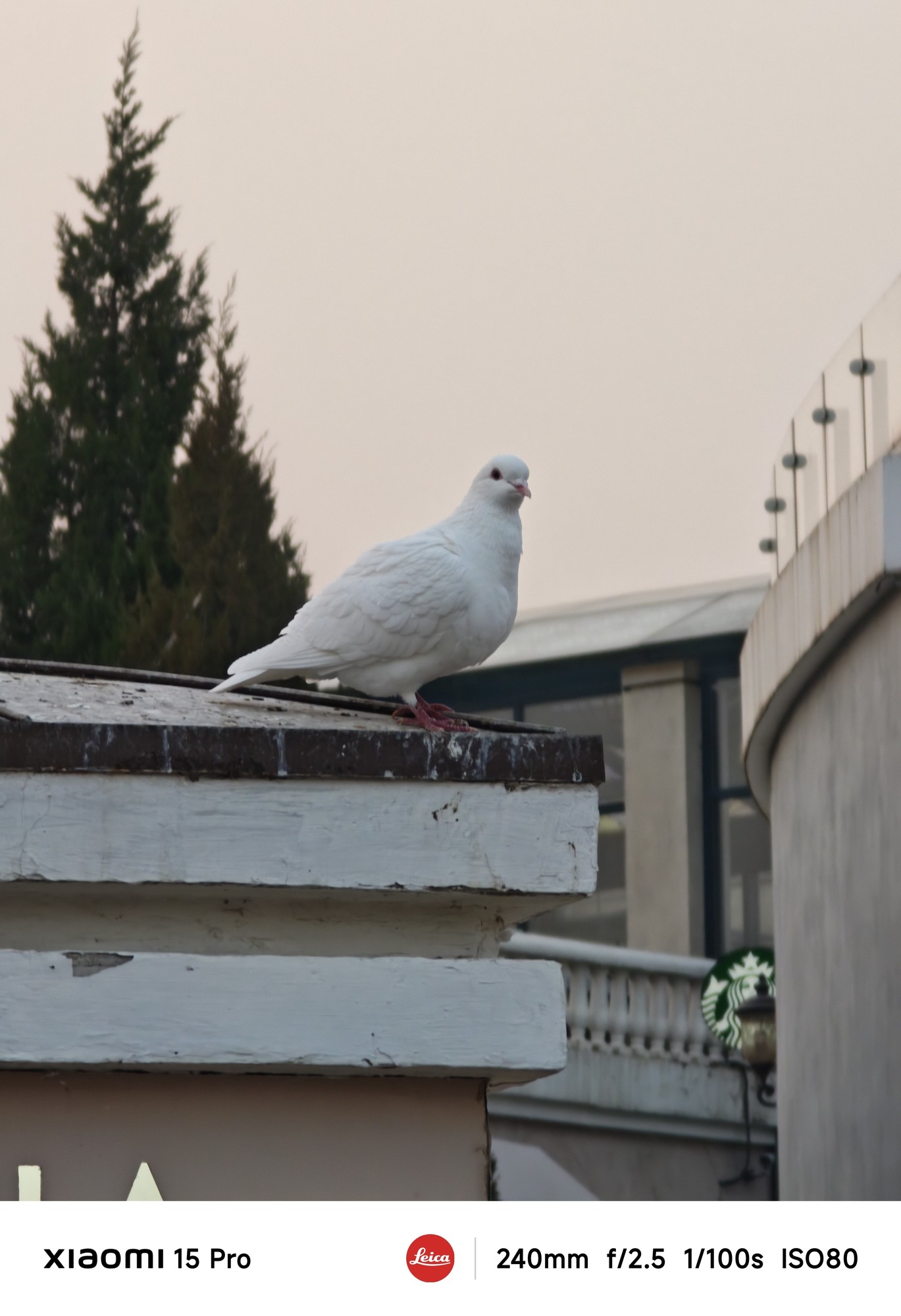 小米15 Pro评测：2024年旗舰手机的标准答案