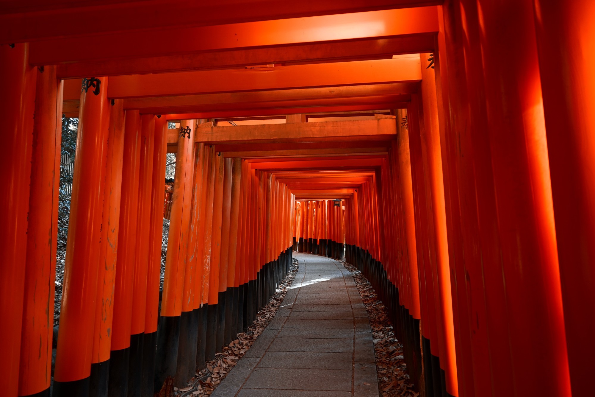 旅行摄影好搭子 尼康Z50II行摄日本东京