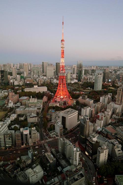 微信里的东阳好搭子__蜂鸟摄影论坛旅行摄影