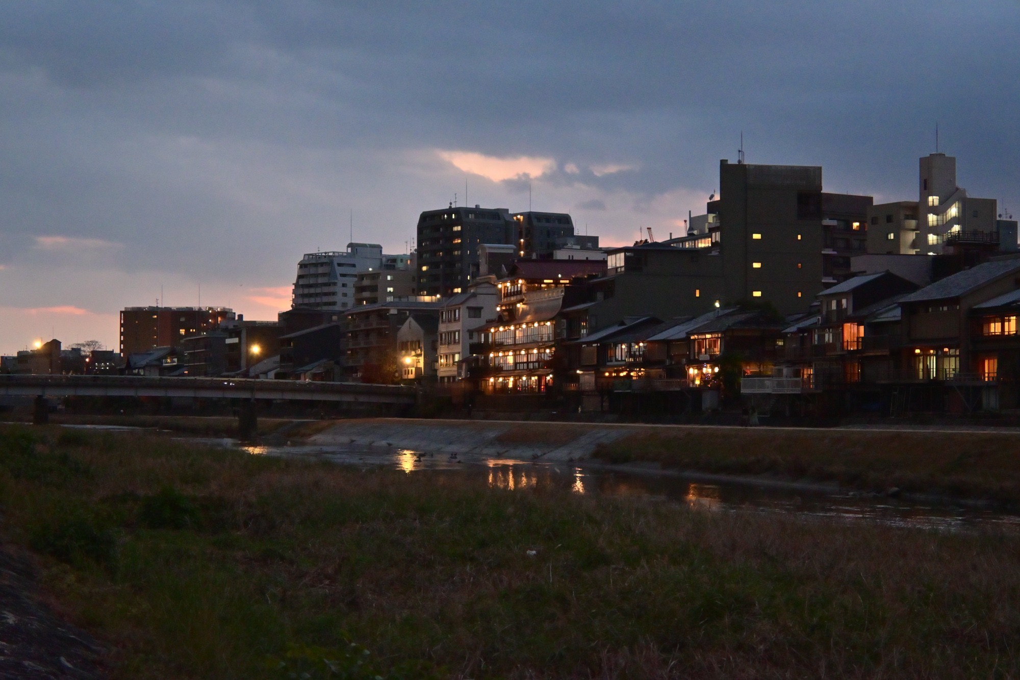 旅行摄影好搭子 尼康Z50II行摄日本东京
