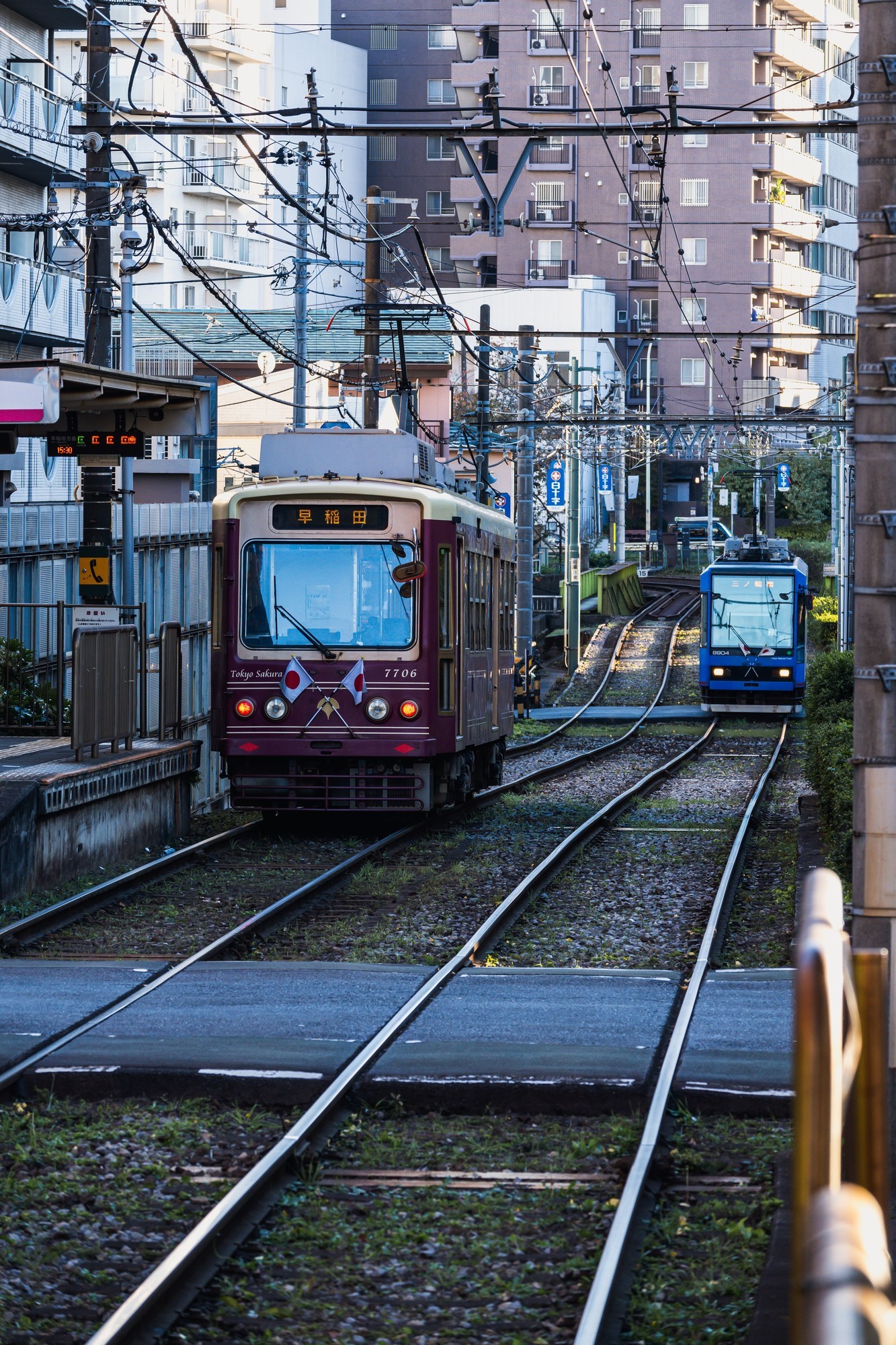 旅行摄影好搭子 尼康Z50II行摄日本东京