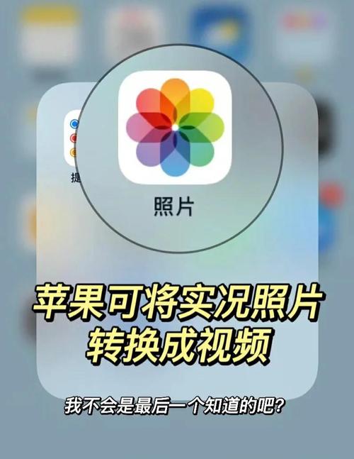视频实况是什么意思__视频实况照片
