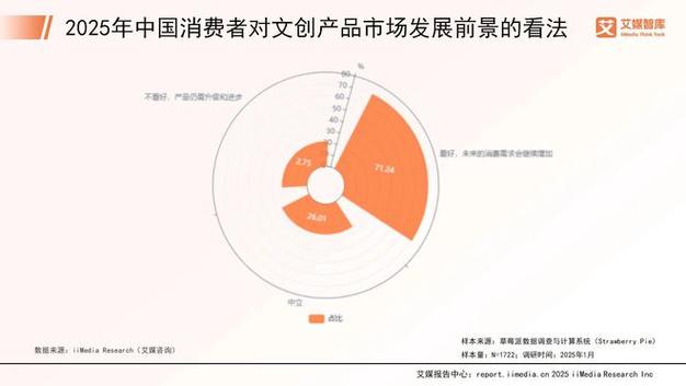 _消费者洞察报告框架设计_消费者洞察报告怎么写